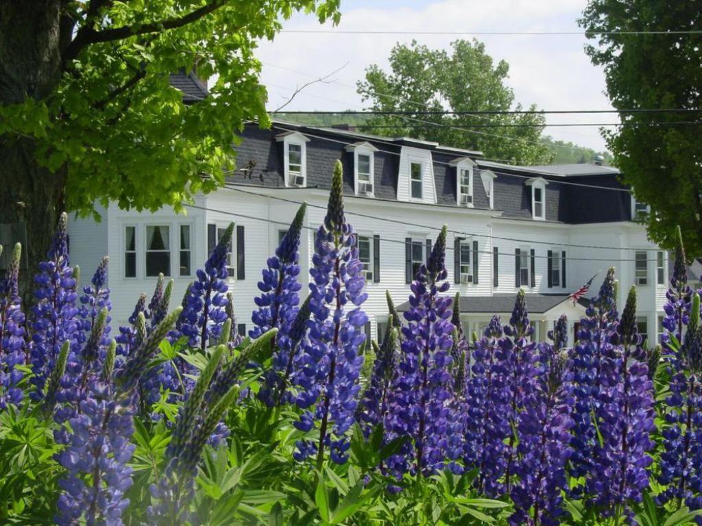 ซันเซ็ต ฮิลล์ เฮาส์ Hotel Sugar Hill ภายนอก รูปภาพ
